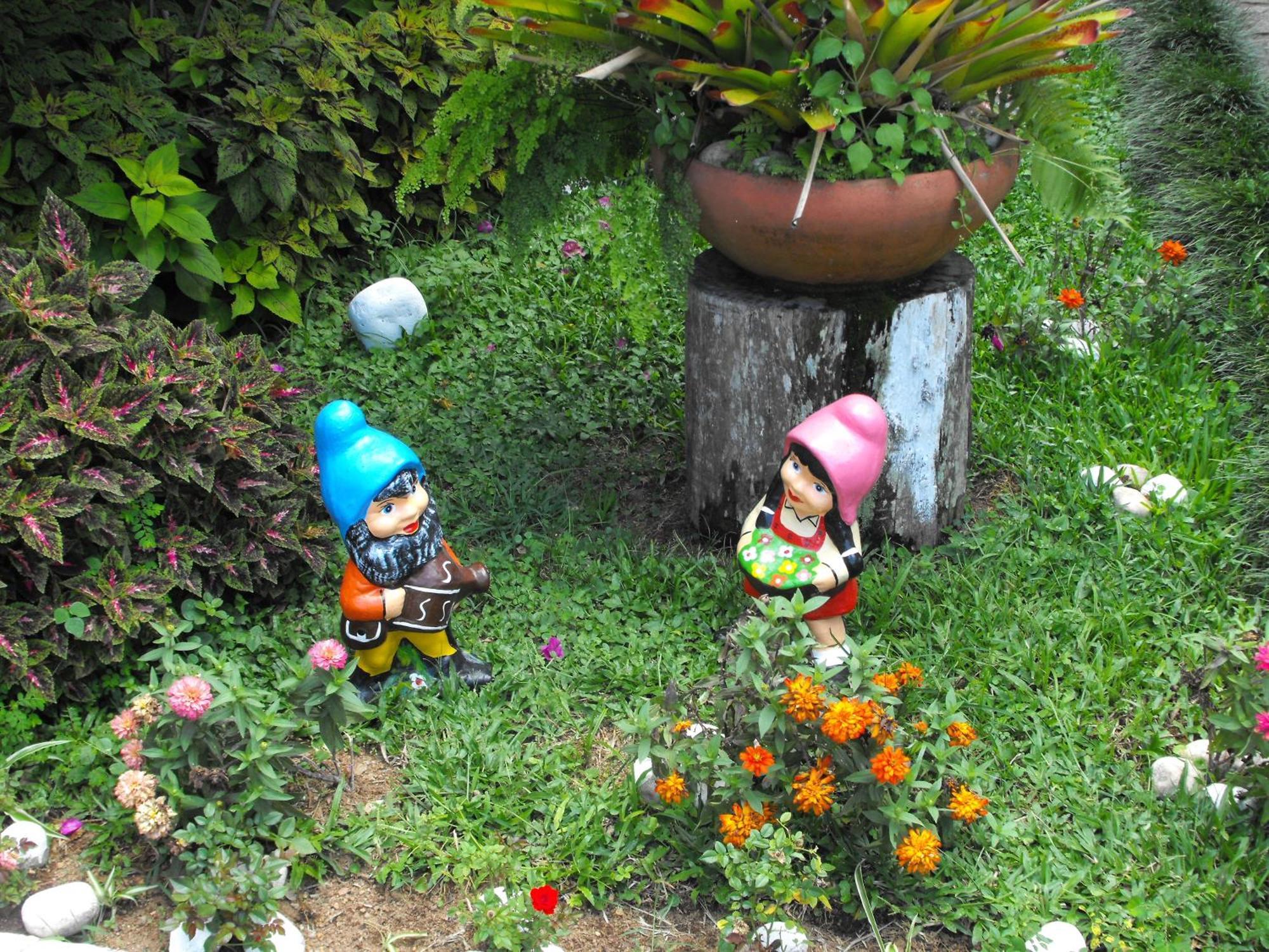 Pousada Cascata Dos Amores Teresopolis Bagian luar foto